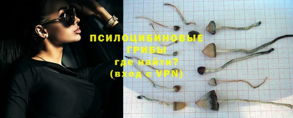 бошки Зеленодольск