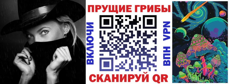 Псилоцибиновые грибы мицелий  Купить  Северо-Курильск 