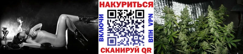 Марихуана OG Kush  Купить где  Северо-Курильск 